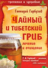 Чайный и тибетский гриб