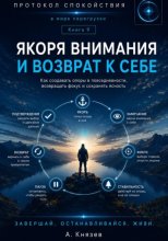 Якоря внимания и возврат к себе книга 9