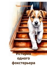 История одного фокстерьера
