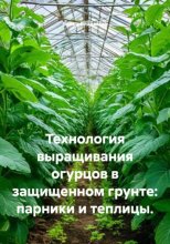 Технология выращивания огурцов в защищенном грунте: парники и теплицы