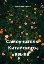 Самоучитель китайского языка