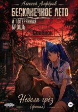 Бесконечное лето и Потерянная брошь. Книга Девятая - Неделя грёз (финал)