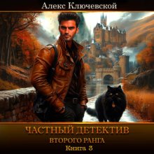 Частный детектив второго ранга. Книга 3