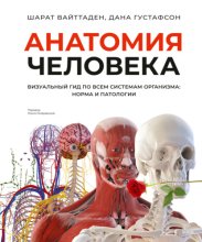 Анатомия человека. Визуальный гид по всем системам организма: норма и патологии