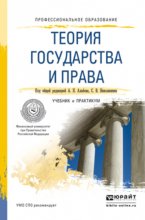 Теория государства и права. Учебник и практикум для СПО