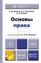 Основы права. Учебник для бакалавров