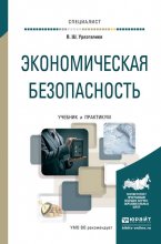 Экономическая безопасность. Учебник и практикум для вузов